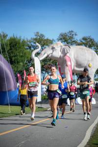 BIB: 
                            <button type="button" onclick="openModal(26543019)" class="btn btn-primary btn-sm float-right btn-popup" data-toggle="modal" data-target=".modal-high-quality">
                        <i class="fas fa-shopping-cart"></i> Add to Cart
                    </button>
                                            <button type="button" onclick="isThisMe(26543019, true)" class="btn btn-success btn-sm float-right btn-popup btn-isme hidden" data-toggle="tooltip" data-placement="bottom" title="นี่คือรูปของคุณใช่ไหม คลิกที่นี่เพื่อเอาเข้าอัลบั้ม">
                        <i class="fas fa-plus"></i> Add to album
                    </button>
                    <button type="button" onclick="isThisMe(26543019, false)" class="btn btn-warning btn-sm float-right btn-popup btn-isnotme hidden">
                        <i class="fas fa-ban"></i> Remove from album
                    </button>